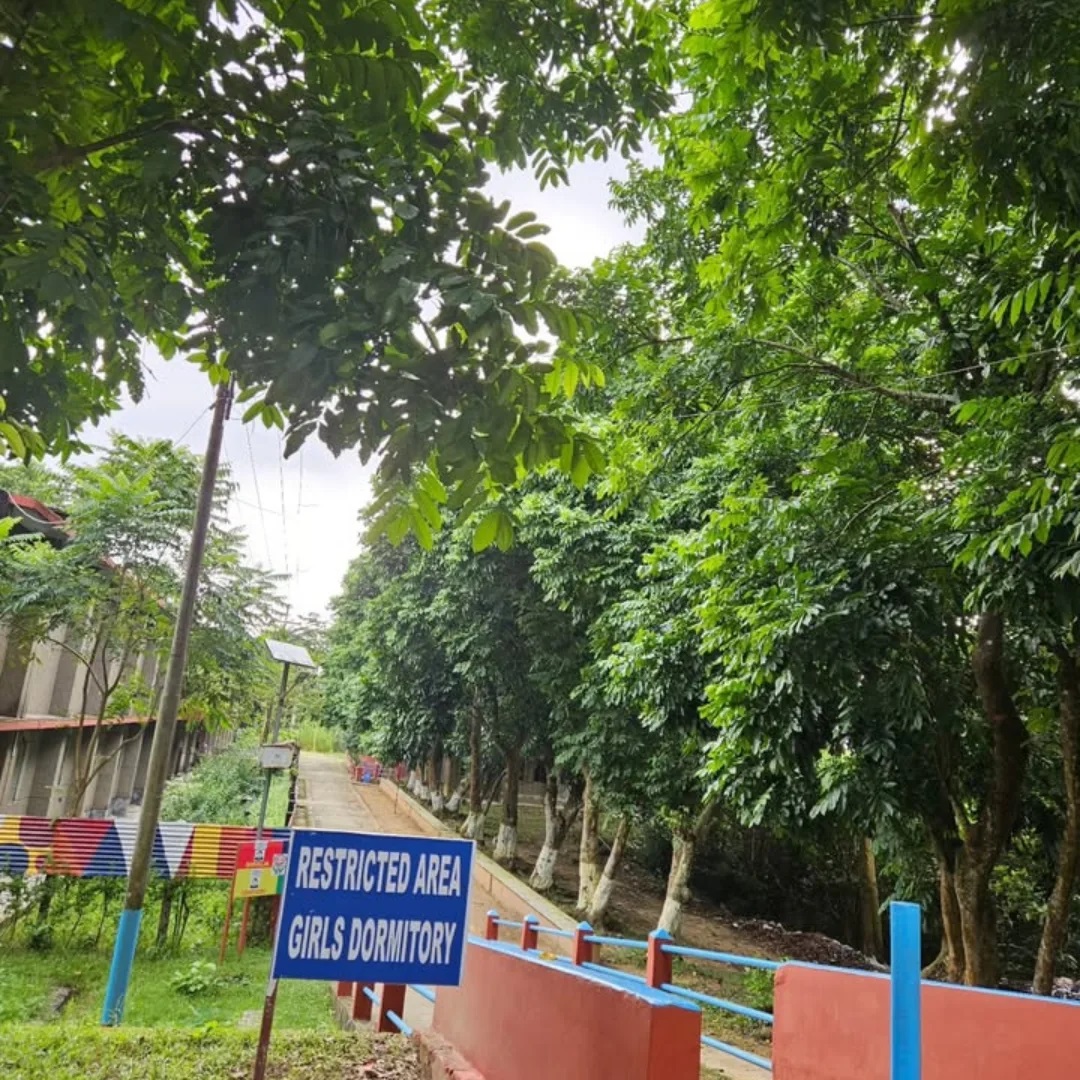 JNV Hailakandi